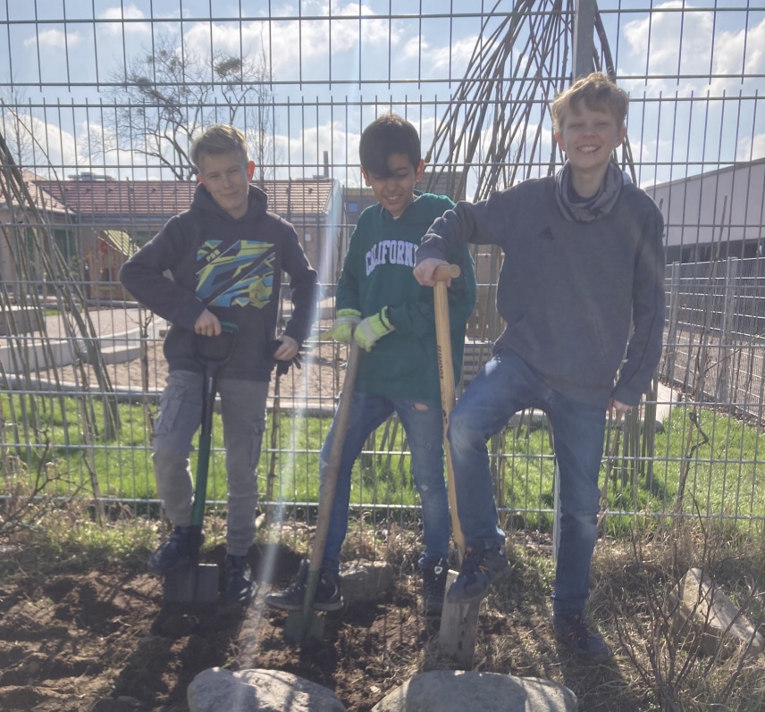 Schulgarten2 Schulgarten2