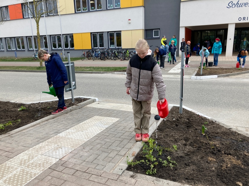 Verkehrsinsel Verkehrsinsel